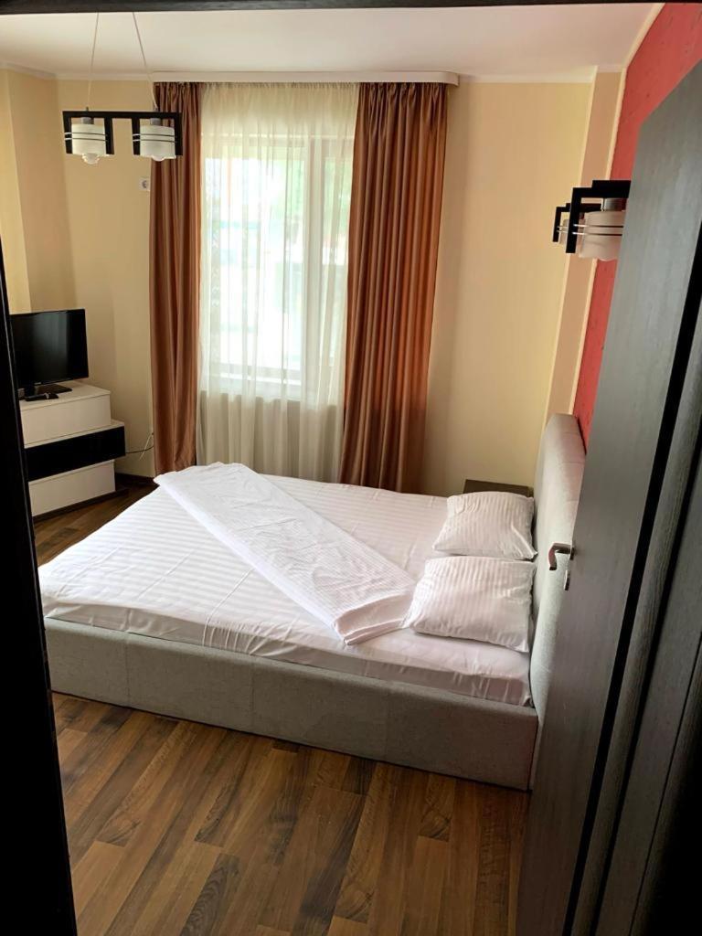 Arlequin Apartments Mamaia Exterior photo